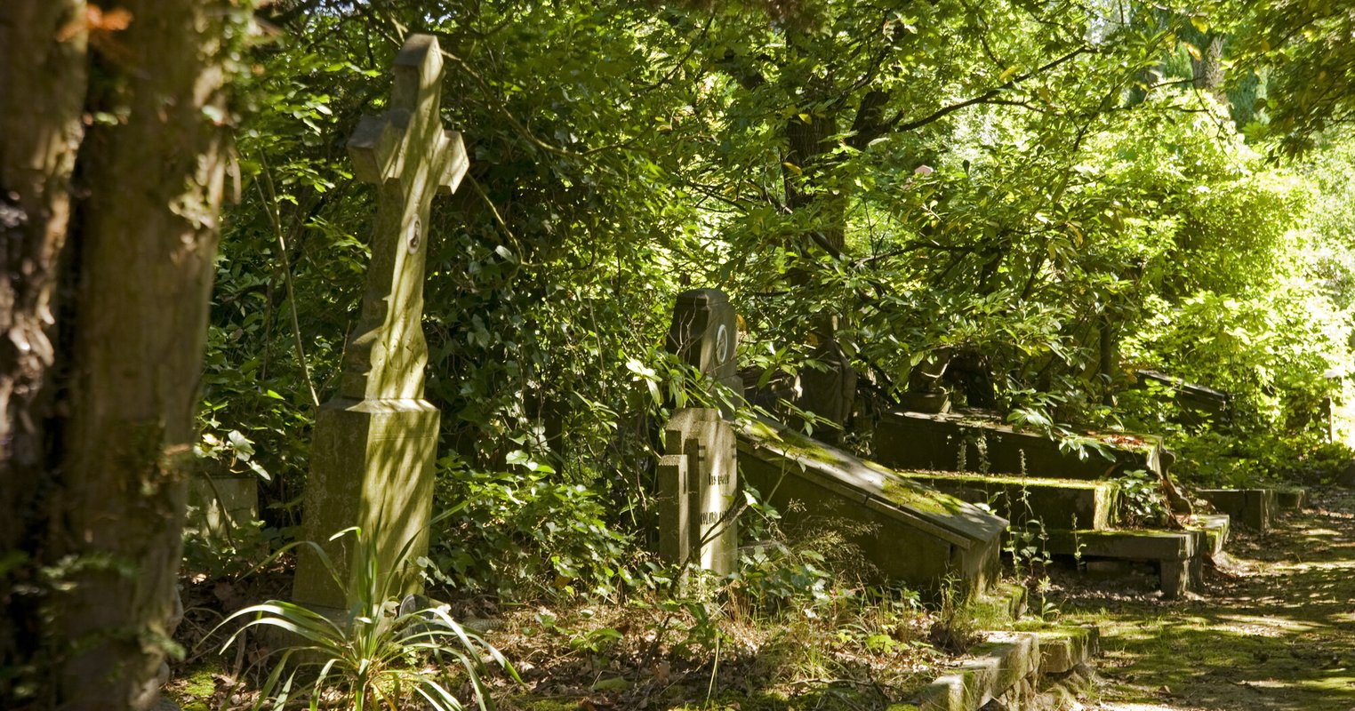 Begraafplaats Dieweg © A. de Ville de Goyet urban.brussels