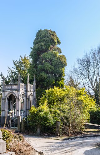 Kerkhof van de Dieweg