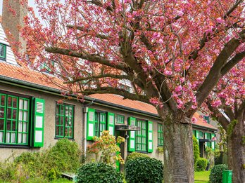 Tuinwijk Logis-Floréal