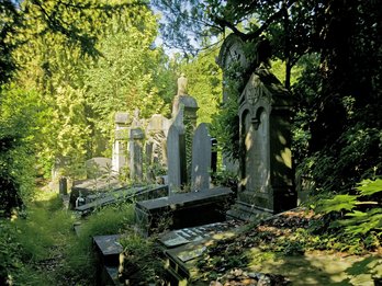 Overwoekerde graven op de begraafplaats van Dieweg © A. de Ville de Goyet urban.brussels