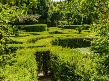 Doolhof in de tuin van museum van Buuren
