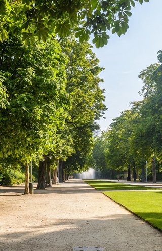 Warandepark in de zomer © visit.brussels