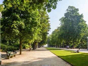 Warandepark in de zomer © visit.brussels