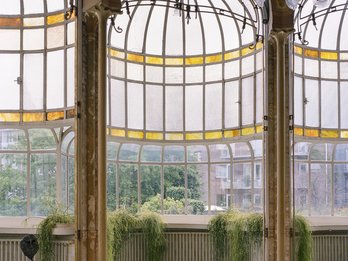 Wintertuin Max Hallet